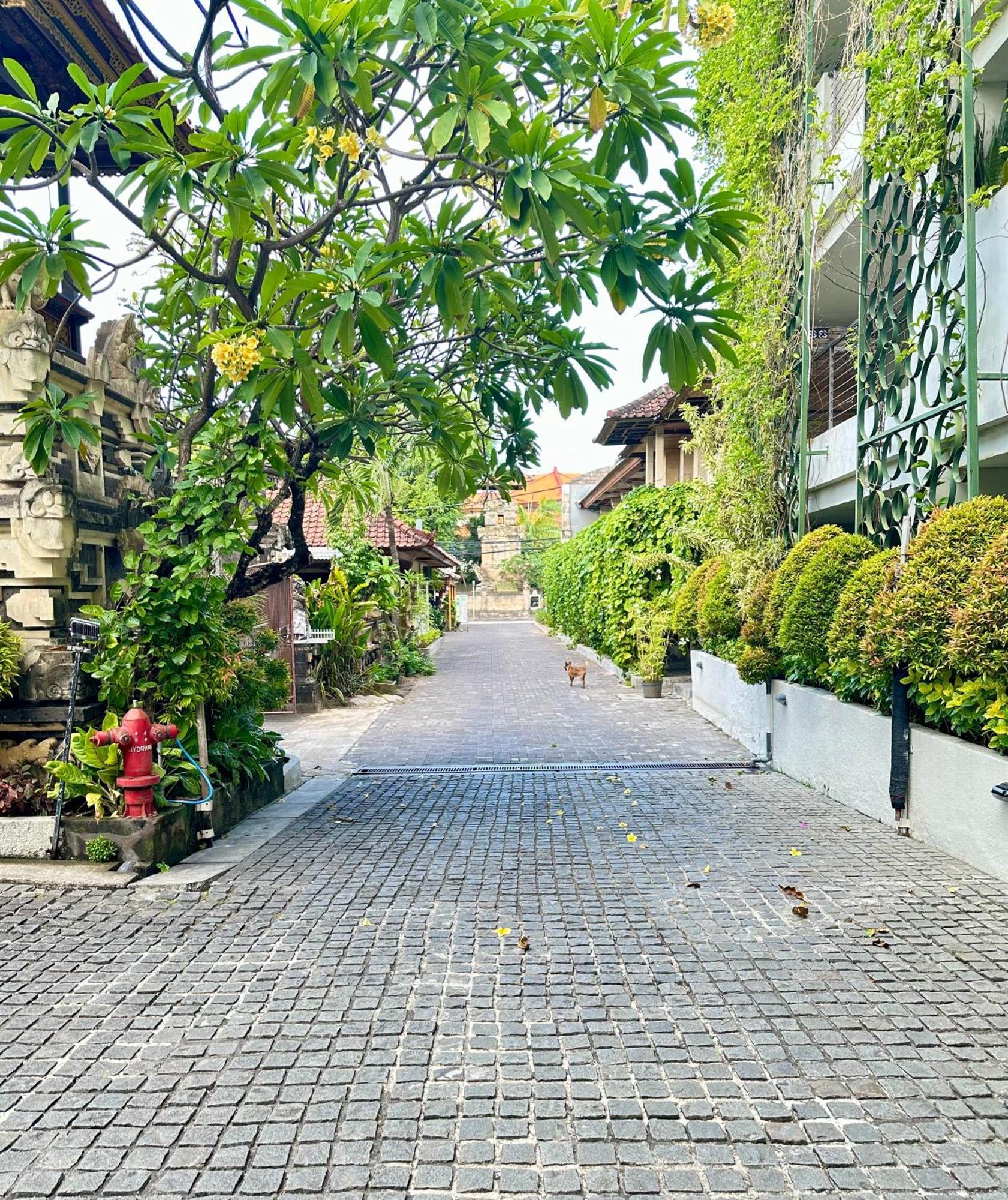 Hotel Ion Bali Benoa Nusa Dua  Exteriér fotografie